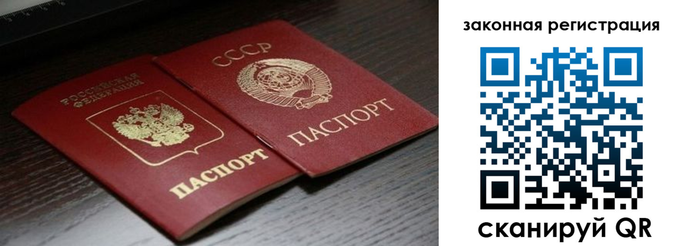 прописка поиск в Ртищево